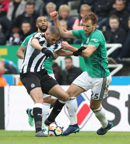 青岛男篮大 青岛男篮大